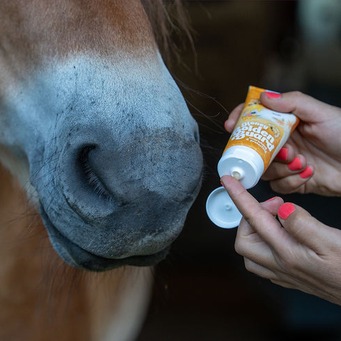 Honey Golden Guard <br>Maulpflege mit Honig